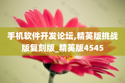 手机软件开发论坛,精英版挑战版复刻版_精英版4545