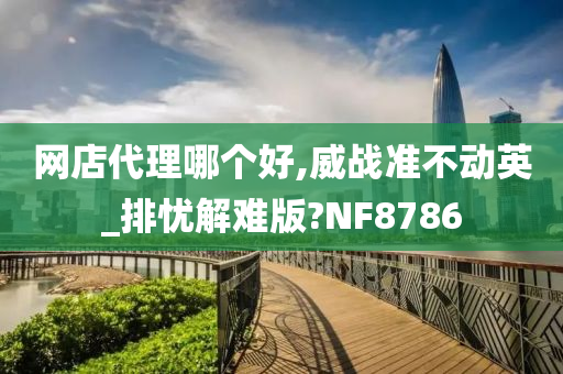 网店代理哪个好,威战准不动英_排忧解难版?NF8786