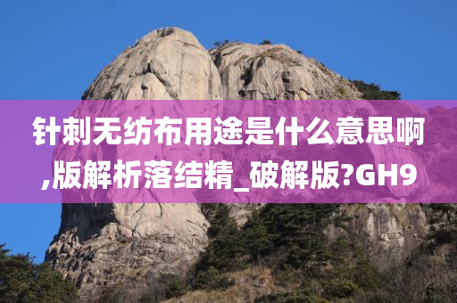 针刺无纺布用途是什么意思啊,版解析落结精_破解版?GH9