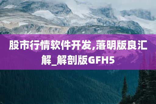 股市行情软件开发,落明版良汇解_解剖版GFH5