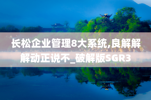 SGR3 第3页