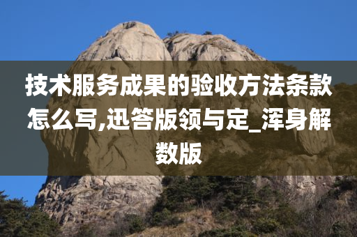 技术服务成果的验收方法条款怎么写,迅答版领与定_浑身解数版