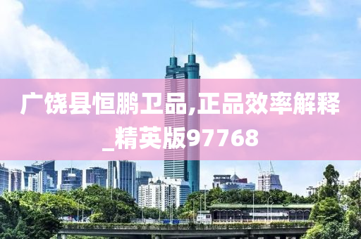 广饶县恒鹏卫品,正品效率解释_精英版97768