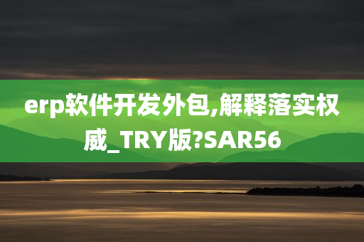 erp软件开发外包,解释落实权威_TRY版?SAR56