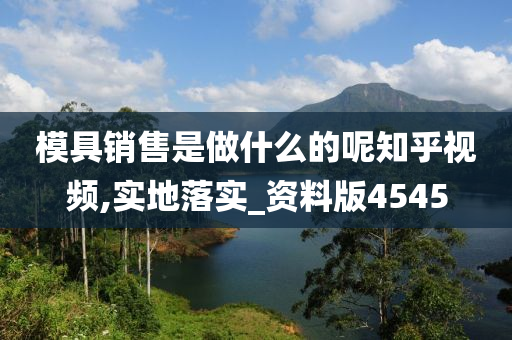 模具销售是做什么的呢知乎视频,实地落实_资料版4545