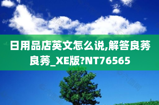 日用品店英文怎么说,解答良莠良莠_XE版?NT76565