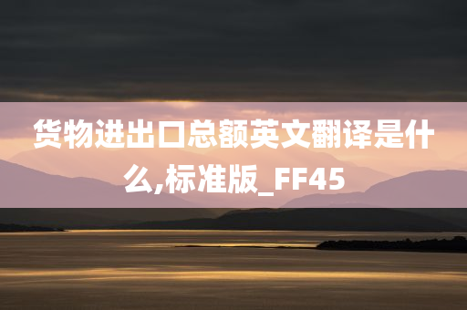 货物进出口总额英文翻译是什么,标准版_FF45