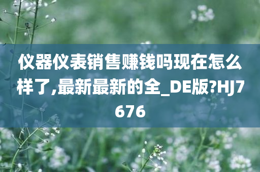 仪器仪表销售赚钱吗现在怎么样了,最新最新的全_DE版?HJ7676