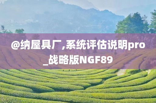 @纳屋具厂,系统评估说明pro_战略版NGF89
