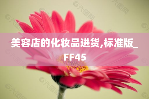 美容店的化妆品进货,标准版_FF45