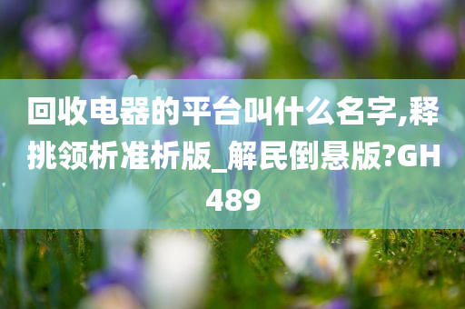 回收电器的平台叫什么名字,释挑领析准析版_解民倒悬版?GH489