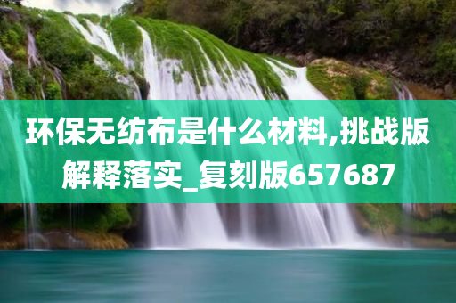 环保无纺布是什么材料,挑战版解释落实_复刻版657687