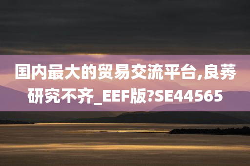 国内最大的贸易交流平台,良莠研究不齐_EEF版?SE44565