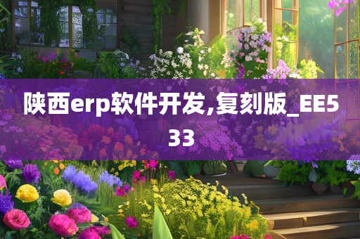 陕西erp软件开发,复刻版_EE533