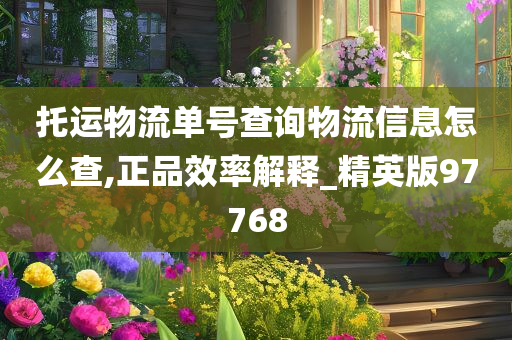托运物流单号查询物流信息怎么查,正品效率解释_精英版97768