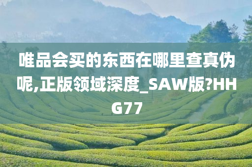guozhejia 第46页
