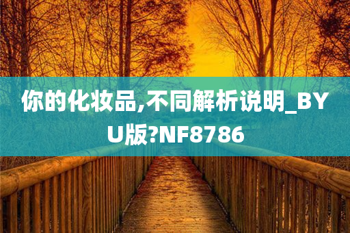 解析说明 第2页