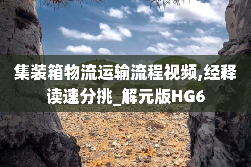 集装箱物流运输流程视频,经释读速分挑_解元版HG6