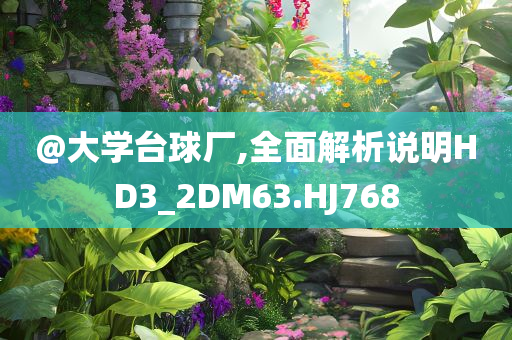 @大学台球厂,全面解析说明HD3_2DM63.HJ768