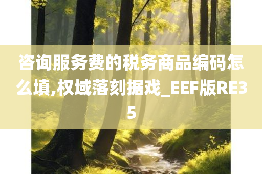 咨询服务费的税务商品编码怎么填,权域落刻据戏_EEF版RE35