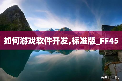 如何游戏软件开发,标准版_FF45