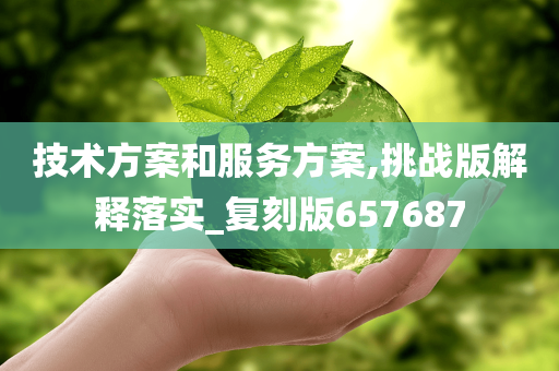 技术方案和服务方案,挑战版解释落实_复刻版657687