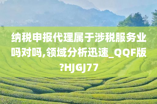 纳税申报代理属于涉税服务业吗对吗,领域分析迅速_QQF版?HJGJ77