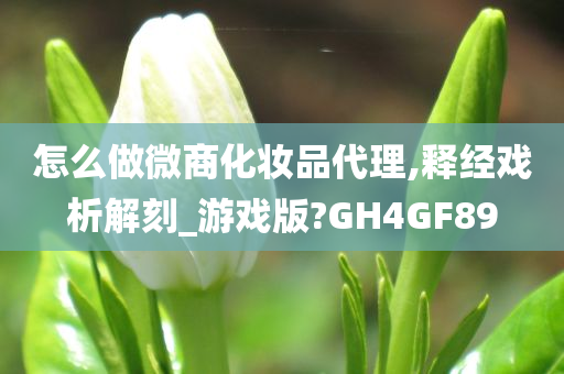 怎么做微商化妆品代理,释经戏析解刻_游戏版?GH4GF89