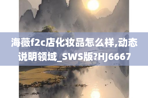 海薇f2c店化妆品怎么样,动态说明领域_SWS版?HJ6667