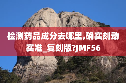 检测药品成分去哪里,确实刻动实准_复刻版?JMF56