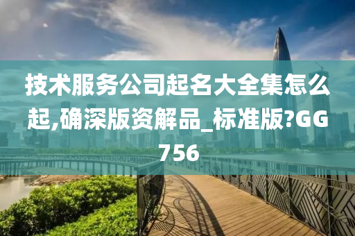 技术服务公司起名大全集怎么起,确深版资解品_标准版?GG756