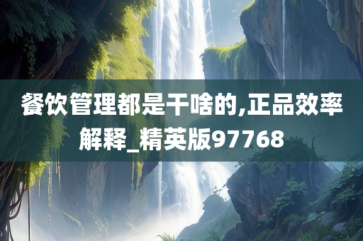 餐饮管理都是干啥的,正品效率解释_精英版97768