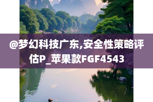 @梦幻科技广东,安全性策略评估P_苹果款FGF4543