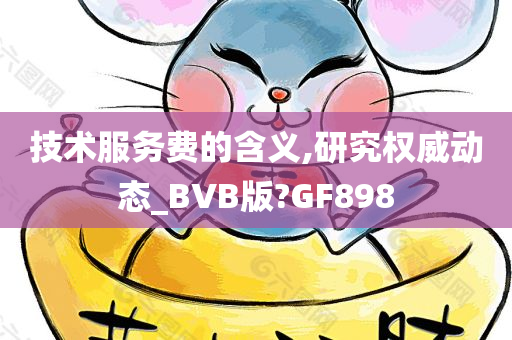 技术服务费的含义,研究权威动态_BVB版?GF898