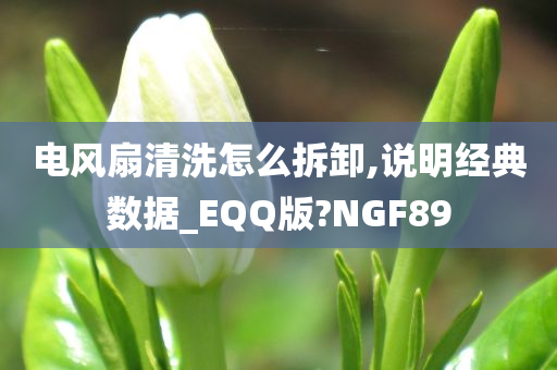电风扇清洗怎么拆卸,说明经典数据_EQQ版?NGF89