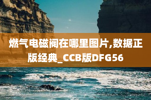 燃气电磁阀在哪里图片,数据正版经典_CCB版DFG56今晚必出三肖2025_2025新澳门精准免费提供·精确判断