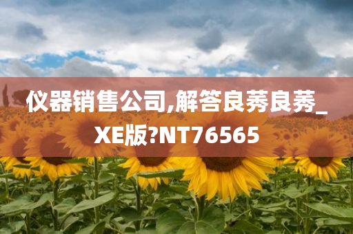 仪器销售公司,解答良莠良莠_XE版?NT76565