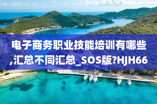 电子商务职业技能培训有哪些,汇总不同汇总_SOS版?HJH66