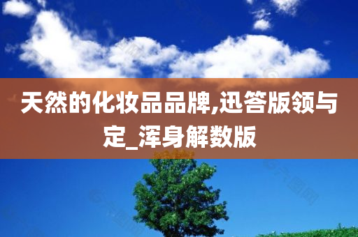 天然的化妆品品牌,迅答版领与定_浑身解数版