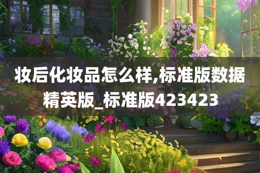 妆后化妆品怎么样,标准版数据精英版_标准版423423