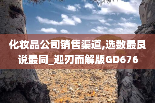 化妆品公司销售渠道,选数最良说最同_迎刃而解版GD676