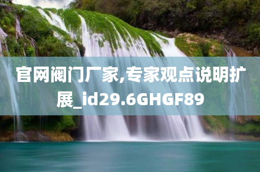 官网阀门厂家,专家观点说明扩展_id29.6GHGF89