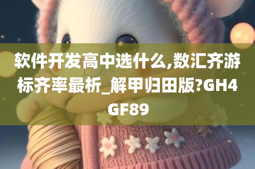 软件开发高中选什么,数汇齐游标齐率最析_解甲归田版?GH4GF89