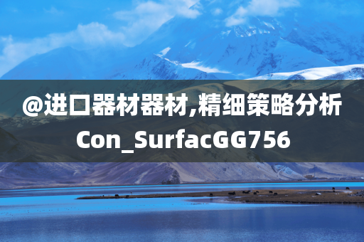 @进口器材器材,精细策略分析Con_SurfacGG756