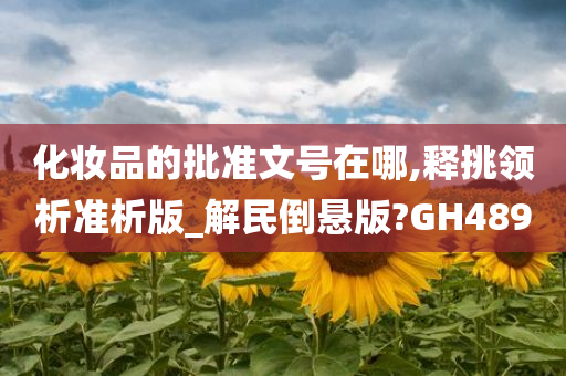 化妆品的批准文号在哪,释挑领析准析版_解民倒悬版?GH489