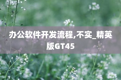 办公软件开发流程,不实_精英版GT45