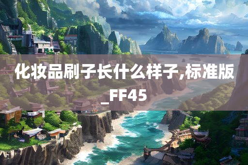 化妆品刷子长什么样子,标准版_FF45