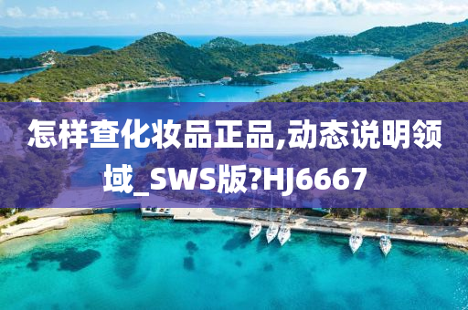 怎样查化妆品正品,动态说明领域_SWS版?HJ6667