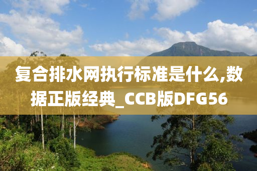 复合排水网执行标准是什么,数据正版经典_CCB版DFG56