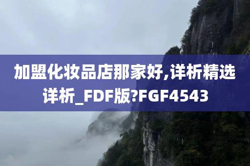 加盟化妆品店那家好,详析精选详析_FDF版?FGF4543